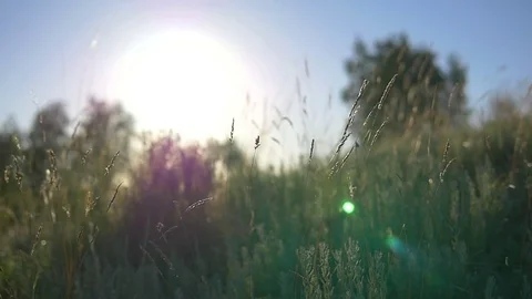 Evening Sun 3 스톡 동영상 70989485