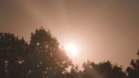 Evening Sun Above Dark Treetops in Hazy Sky, Low Angle Static Shot Stock Footage 342726251