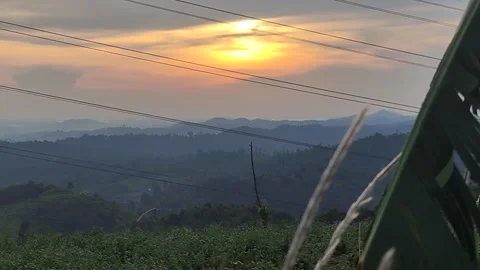 Evening Sun Stock Footage 243471063