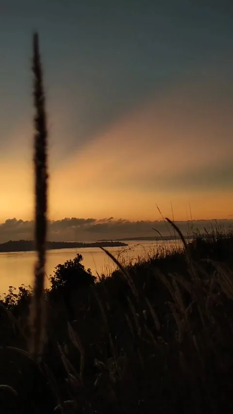 Evening Sun Stock Footage 243471693