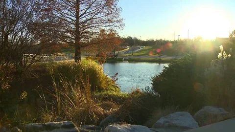 Evening sun on the golf course Stock Footage 69189050