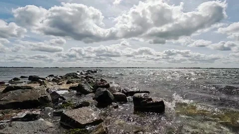 Evening sun on the Grevelingenmeer Video stock 295115144