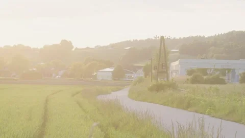 Evening Sun Illuminates Field and Bicycle Trail Stock Footage 309089536