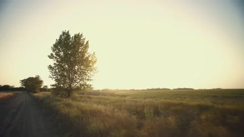 Evening sun over the fields. Dirt road at sunrise. Rural landscape. Stock-Footage 149241367