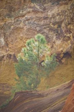 Evening sun Stock Photos