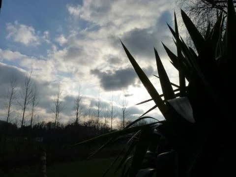Evening Sun 写真素材