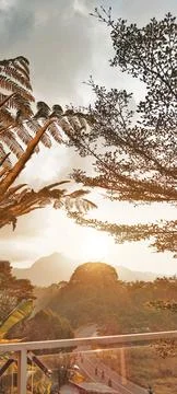 Evening Sun Stock Photos