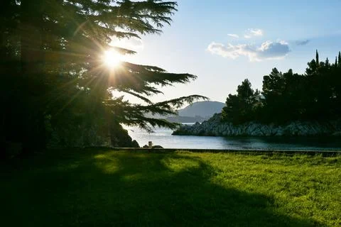 The evening sun shines through the trees on the shore of sea lagoon Stock Photos