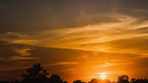 Evening Sun Is Slowly Setting Behind The Trees - Time Lapse Stock Footage 133756976