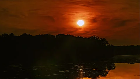 Evening Sun Is Slowly Setting Behind The Trees - Time Lapse Stock Footage 133980438