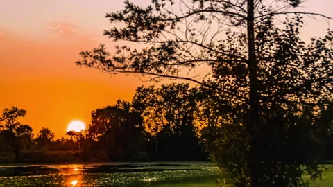 Evening Sun Is Slowly Setting Behind The Trees - Zoom Out Video stock 138050663