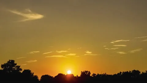 Evening Sun Is Slowly Setting Behind The Trees - Timelapse Stock Footage 157898322