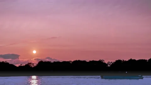 Evening Sun Is Slowly Setting Behind The Trees - Timelapse 스톡 동영상 157898917