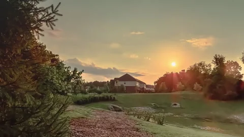 Evening Sun Is Slowly Setting Behind Subdivision Trees - Timelapse Stock Footage 157899748