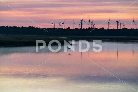 Evening sunlight on coast, pink and golden clouds and wind turbine. Sky refle Stock-Fotos