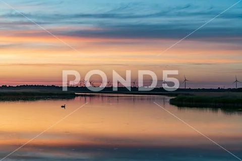 Evening sunlight on coast, pink and golden clouds and wind turbine. Sky refle Stock Photos