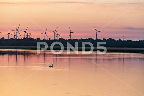 Evening sunlight on coast, pink and golden clouds and wind turbine. Sky refle Stock Photos