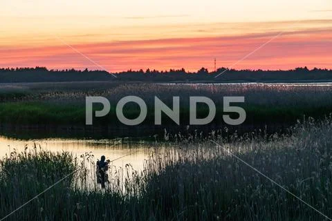 Evening sunlight on coast, pink clouds, blue sky reflection on water. Beach i Stock Photos