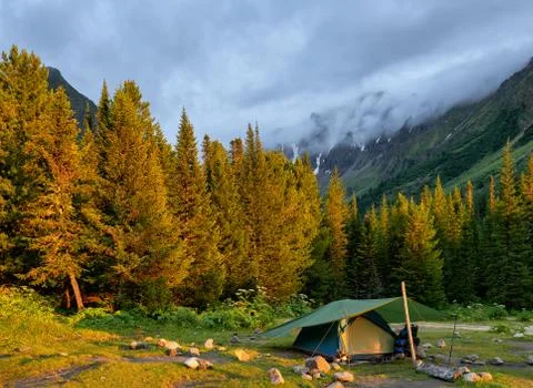 Evening sunlight illuminates edge of dark coniferous taiga Foto stock