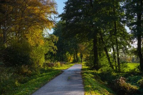 In the evening sunlight the  light has a certain magic after the rain Stock Photos