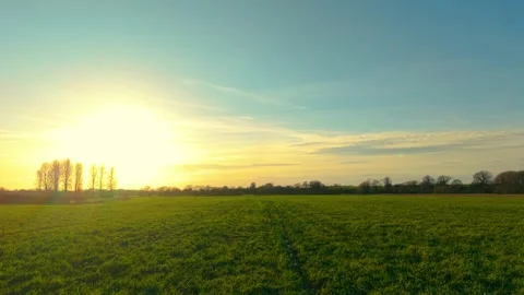 Evening sunlight over expansive green pasture meadow in rural countryside Stock Footage 333258164