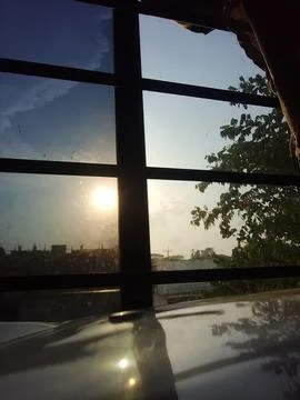 Evening Sunlight Through Dusty Window With Tree View Stock Photos