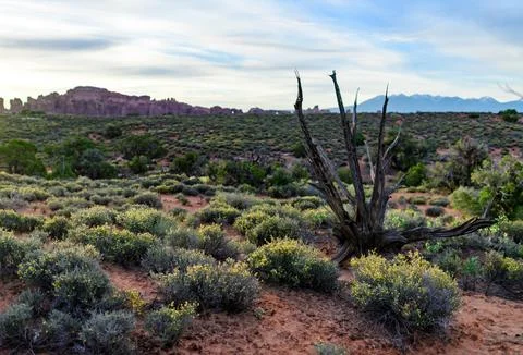 Evening sunset against the backdrop of the mountain landscape. Canyonlands,.. Fotos Stock