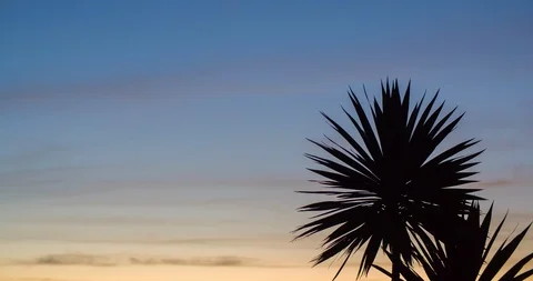 Evening sunset - Backdrop scene Stock Footage 104239520