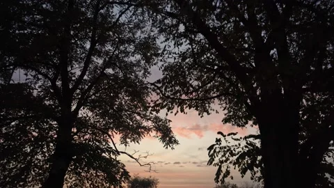 Evening sunset background landscape sky Stock Footage 142820145