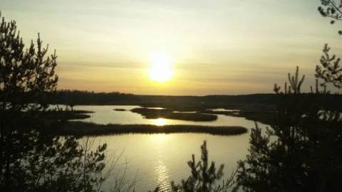 Evening sunset on a beautiful forest lake in summer.  Stock Footage 119765654