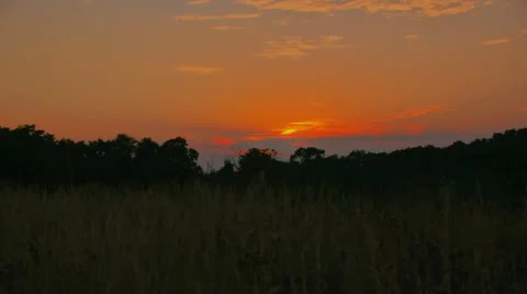 Evening sunset behind forest Stock Footage 11514631