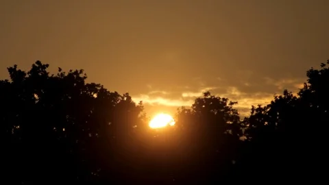 Evening sunset behind silhouetted trees Stock Footage 98682795