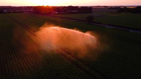 Evening sunset crop irrigation system. Stock Footage 175476444