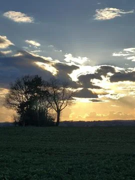 Evening Sunset, Dramatic Skies Behind Trees Foto stock