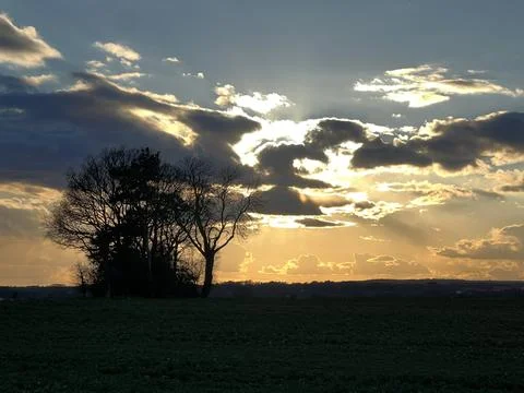Evening Sunset, Dramatic Skies Behind Trees 库存照片
