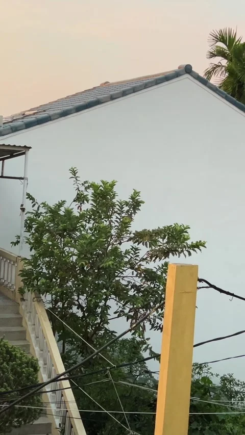 Evening sunset house from window palm trees fence Ordinary life in Vietnam Stock-Footage 308339267