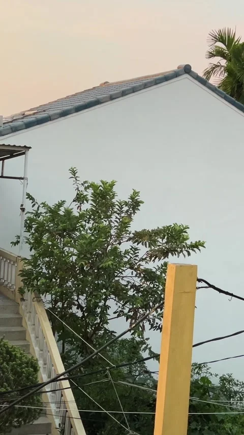 Evening sunset house from window palm trees fence Ordinary life in Vietnam Stock-Footage 311926383