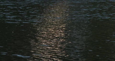 Evening sunset light reflection on river water ripples slow motion nature Stock Footage 341768367
