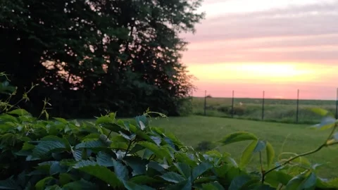 Evening sunset in the park Stock Footage 312230906