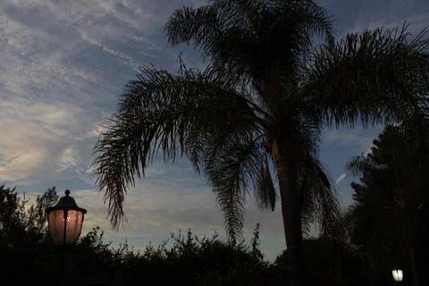 Evening sunset 스톡 사진