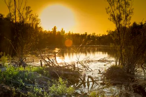 In the evening before sunset 스톡 사진