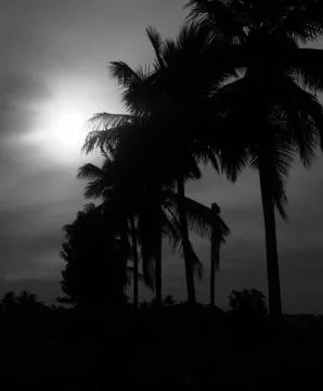 Evening sunset Stock Photos