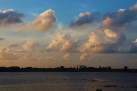 Evening sunset Stock Photos