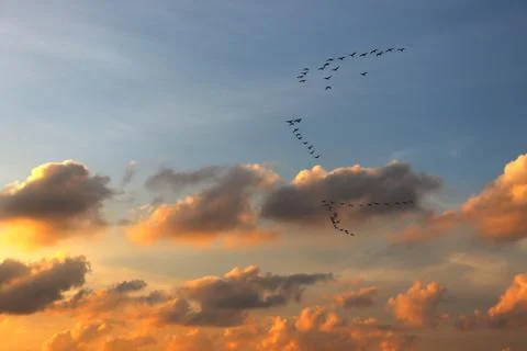 Evening sunset Stock Photos