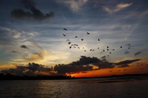 Evening sunset Stock Photos