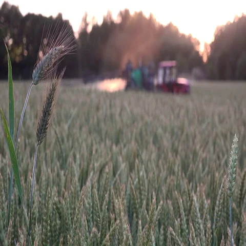 Evening sunset rays illuminating chemicals spray with tractor equipment Stock Footage 69582274