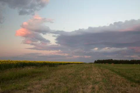 Evening sunset with red clouds Stock Photos