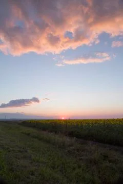 Evening sunset with red clouds Stock Photos