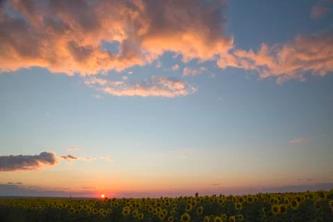 Evening sunset with red clouds Stock Photos