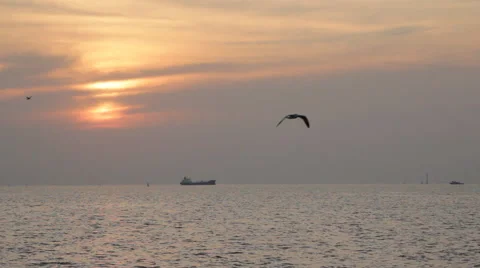 Evening sunset at sea by freighter run through Stock Footage 46210772